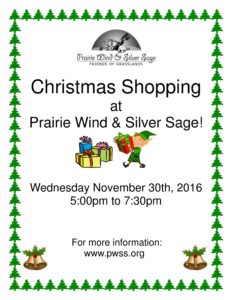 christmas-shopping-2016